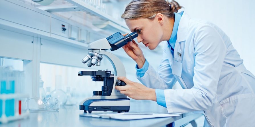 indicadores de qualidade