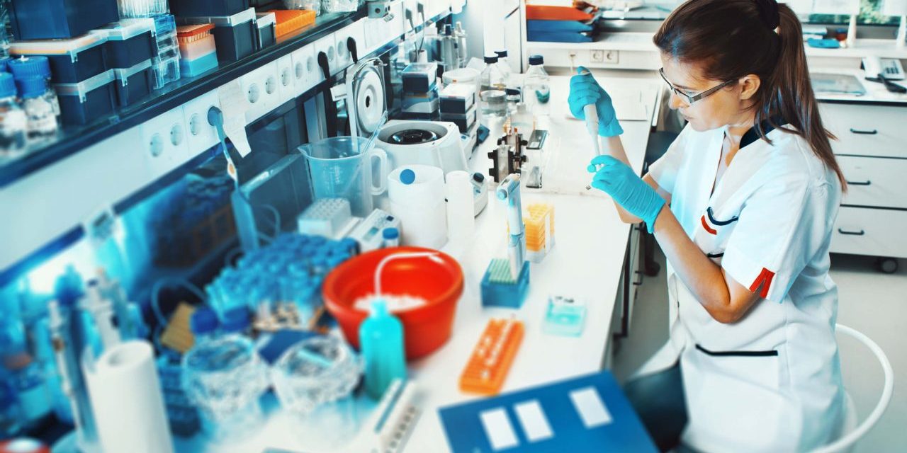 sistema de gestão de estoque