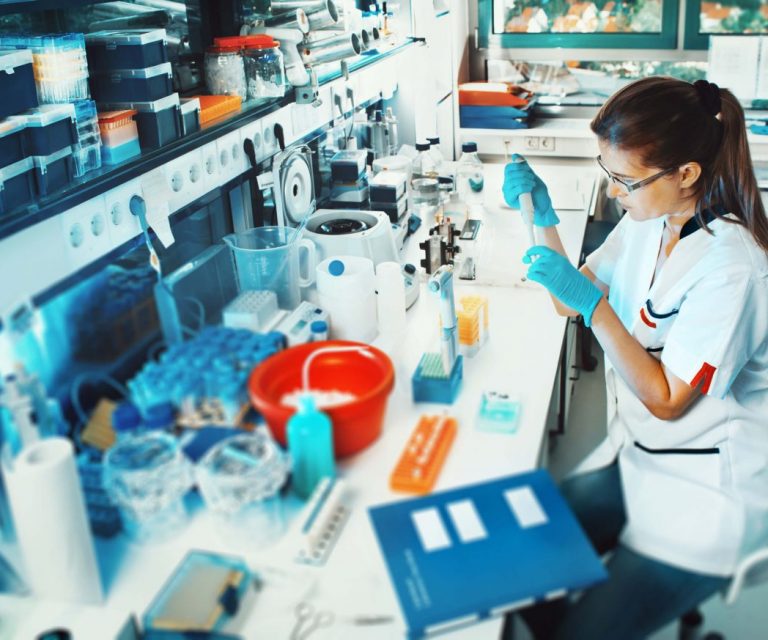 sistema de gestão de estoque