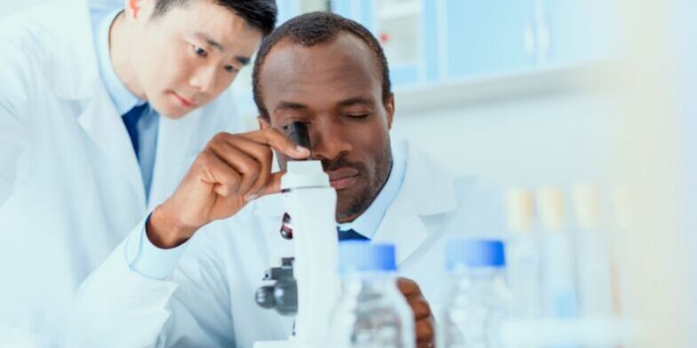 exames-laboratoriais-aprenda-avaliar-a-viabilidade-economica exames-laboratoriais-aprenda-avaliar-a-viabilidade-economica